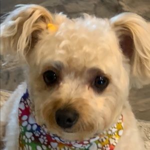 Meet your Posher, Beth